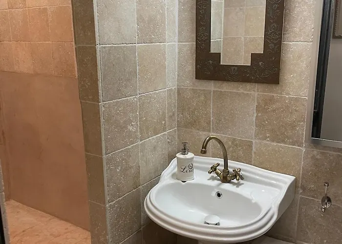 מלון דירות Marais Romantique Centre 4 4*